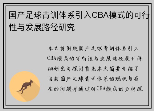 国产足球青训体系引入CBA模式的可行性与发展路径研究