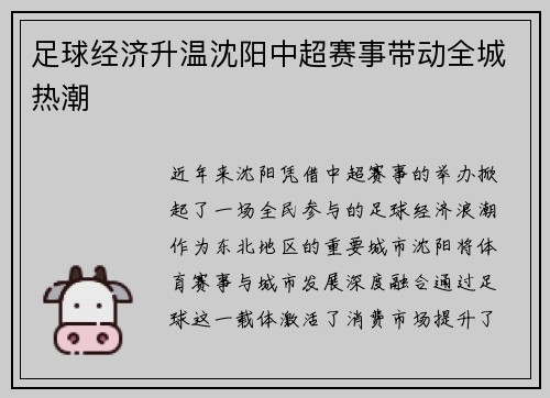 足球经济升温沈阳中超赛事带动全城热潮